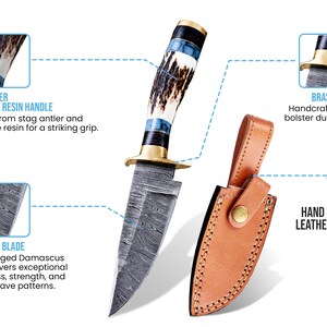 May include: A Damascus steel blade knife with a stag antler and turquoise resin handle, a brass bolster, and a hand-stitched tan leather sheath. Text labels include STAG ANTLER TURQUOISE RESIN HANDLE, BRASS BOLSTER, DAMASCUS BLADE, and HAND STITCHED LEATHER SHEATH.