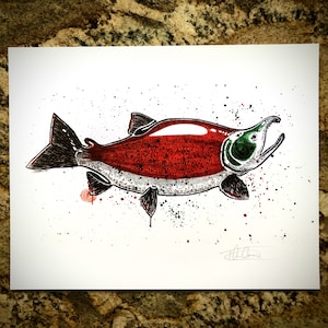 Spawning Sockeye Art Print - 11x14