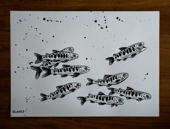 Original India Ink Drawing - The Migration of Smolts - 10x14in