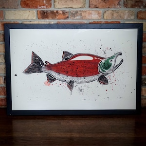 May include: A framed illustration of a red salmon with black and white details, set against a white background with black and red splatters.