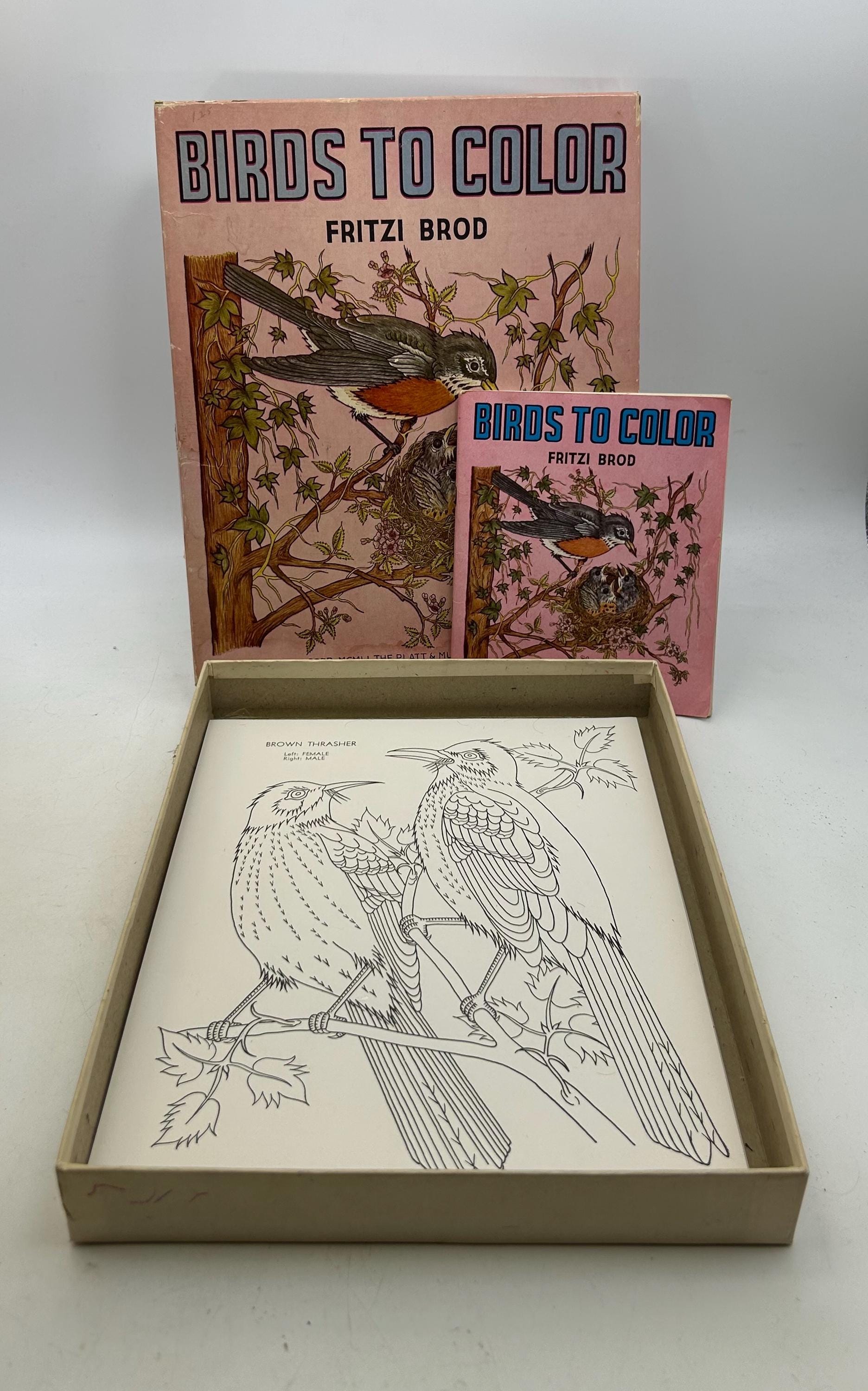 Vintage Children's Birds to Color Set - Platt & Munk, 1951 Book, 21 ...
