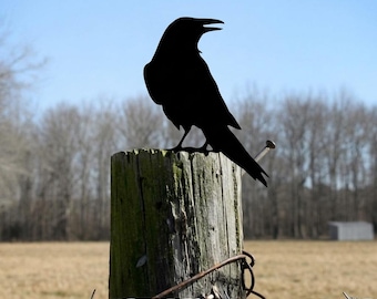 Metal Raven Garden Decor, Crow Bird Yard Art, Outdoor Lawn Ornament, Rustic Garden Accent, Nature Lover Gift