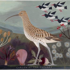 Curlew - Ein Druck von einem Gemälde von einem Brachvogel auf der Isle of Wight.
