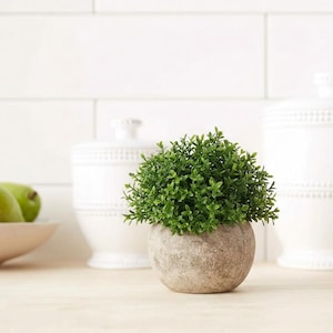 May include: A small, round, textured stone-colored planter containing a dense, vibrant green artificial boxwood plant. The plant features numerous tiny, detailed leaves arranged in a spherical shape, sitting in a neutral-toned pot.