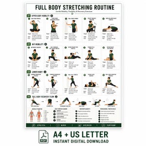 以下が含まれることがあります： 「Full Body Stretching Routine」と題された白い説明用ポスター。上半身、腰、下半身の可動域を広げる15の番号付きエクササイズイラスト、リカバリーフロー、筋肉ターゲットチャート、デイリープランナーが記載されています。
