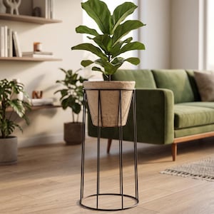 May include: A fiddle leaf fig plant with large, dark green, violin-shaped leaves potted in a textured, light beige, tapered ceramic planter. The planter is supported by a tall, thin, black metal wire stand with a circular base and vertical frame.