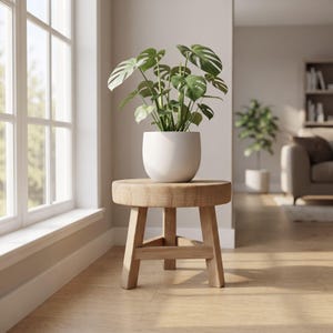 May include: A green Monstera plant with large, split leaves potted in a smooth, matte white ceramic bowl. The plant sits atop a small, round, light-toned wooden stool featuring three sturdy legs and a thick, circular top with a visible wood grain.
