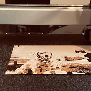 K&ouml;nnte beinhalten: Eine Lasergravurmaschine graviert aktiv ein detailliertes, sepiafarbenes Bild auf eine flache, rechteckige Oberfl&auml;che. Das Motiv zeigt einen Hund, der in der Mitte neben einer Katze auf einem Sims sitzt, mit kontrastreichen Schattierungen.