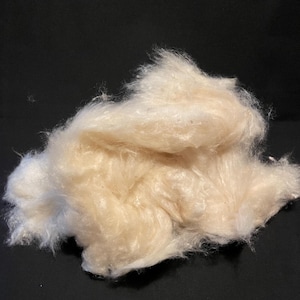 May include: A loose, fluffy pile of raw, off-white fibrous material with a soft, slightly iridescent sheen. The fibers are clumped together in an irregular, cloud-like mass, displaying a fine, wispy texture throughout the entire volume of the material.