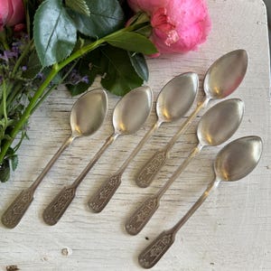 Könnte beinhalten: Ein Set aus fünf silberfarbenen Metalllöffeln mit verzierten, geprägten Blumendetails an den Griffen. Die Löffel sind fächerförmig angeordnet und verfügen jeweils über eine glatte, ovale Laffe und einen dekorativen, rechteckigen Griff.