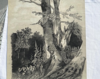 Originale Graphitzeichnung von E. Baudry, Waldlandschaft, Französische Kunst