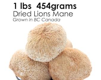 1 Pfund LIONS MANE Getrockneter Pilz Hericium Erinaceus aus biologischem Anbau in Kanada