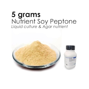 Peptone Nutrient Powder for Agar, Liquid Cultures, Mycology, Biology 5 grams