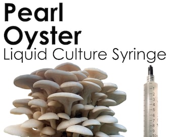 PEARL OYSTER Liquid Culture Mushroom Syringe Pleurotus Ostreatus Inoculation Mycelium Starter Culture