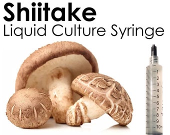 SHIITAKE Liquid Culture Mushroom Syringe Lentinula Edodes Inoculation Mycelium Starter Culture