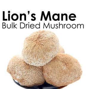 LIONS MANE Dried Mushroom Hericium Erinaceus Organic Grown in Canada