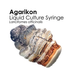AGARIKON Liquid Culture Mushroom Syringe Laricifomes Officinalis Inoculation Mycelium Starter Culture