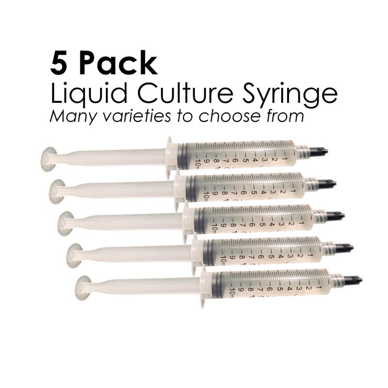 Shrooms Q Teen Stepsis Shrooms Q Needs Icing From Stepbro for Bake Sale