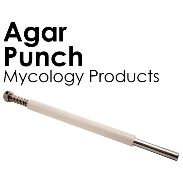 Agar Punch para transferir muestras perfectas de tejido de micelio