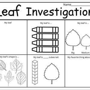 May include: A black and white educational worksheet titled Leaf Investigation with a blank space for a leaf, four crayon icons, three leaf size illustrations labelled Big, Medium, Small, five leaf shape drawings, a stack of cubes, and text prompts.
