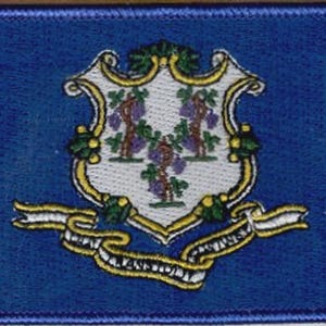 May include: A rectangular embroidered patch featuring the state flag of Connecticut. The design includes a deep blue background with a central white shield displaying three grapevines with purple grapes, framed by a gold border and a white ribbon banner.