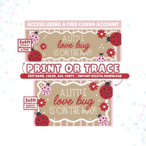 May include: A digital banner template featuring the text A LITTLE love bug IS ON THE WAY! decorated with red and pink ladybugs and red flowers on a tan and pink striped background. Includes instructions for printing at 2x6ft or 3x5ft sizes.