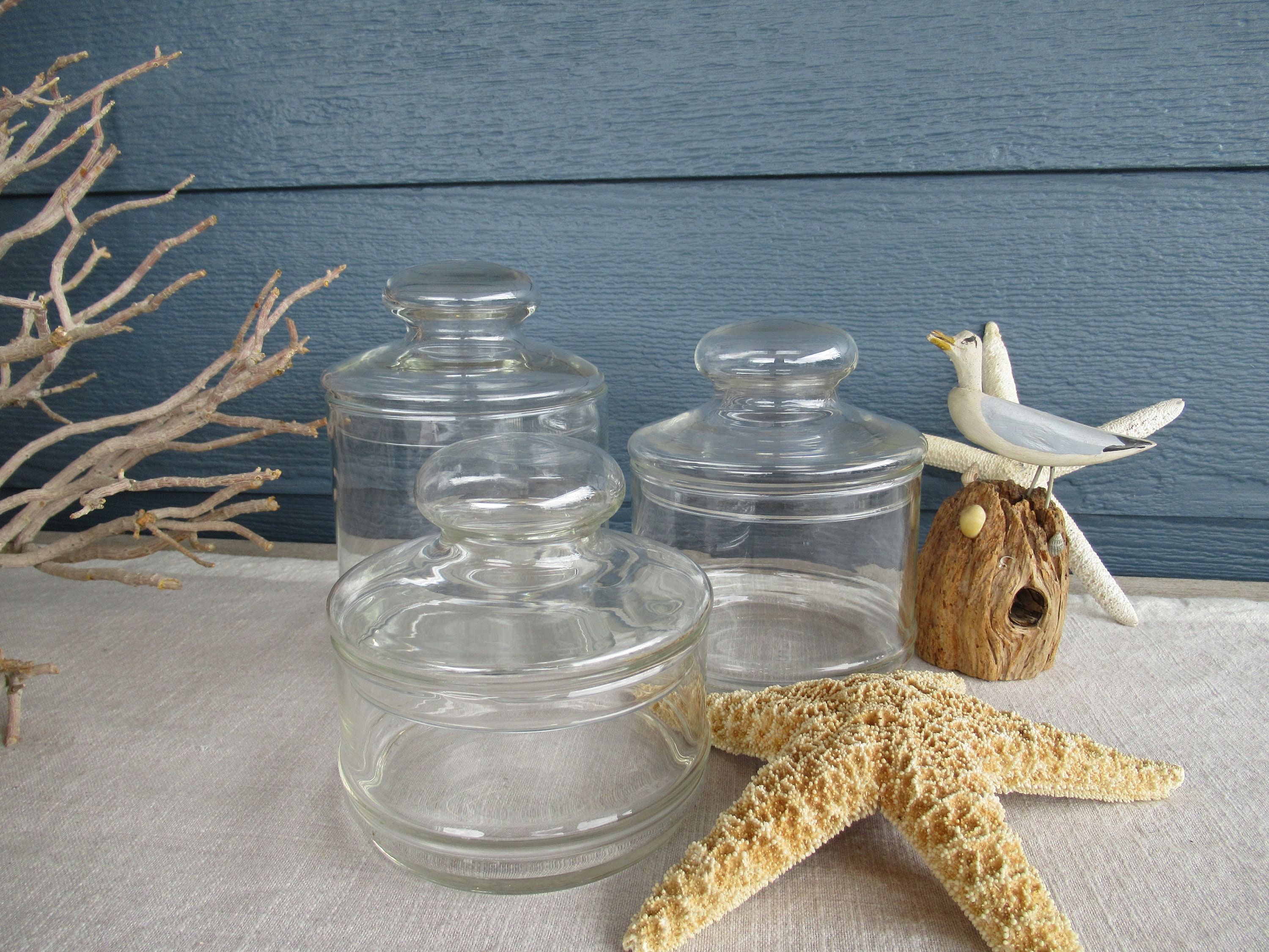 Vintage Apothecary Jar Set of 3 Glass Display Jars Cottage Etsy