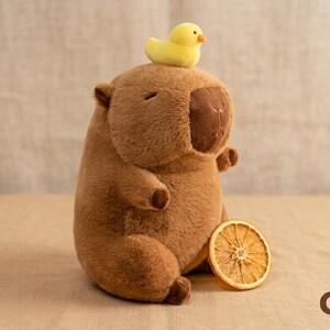 Capybara Stuffed Animal with Chick, Emotional Support Plushie, Kawaii Desk Companion