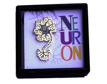 custom order of neuron pins