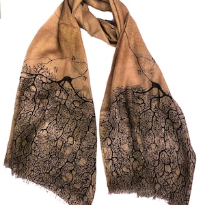 Neuron scarf (Santiago Ramon y Cajal)