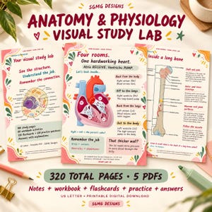 Peut inclure: Trois fiches d'étude éducatives intitulées Anatomy & Physiology Visual Study Lab. Les fiches présentent des schémas d'une cellule, d'un cœur humain et d'un os long avec des étiquettes anatomiques détaillées, des textes explicatifs et des bordures décoratives colorées.