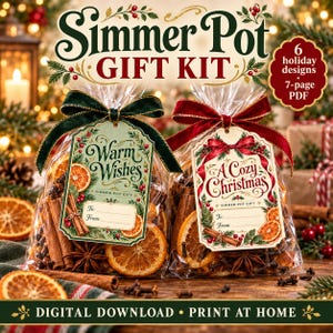 May include: Two clear plastic bags filled with dried orange slices, cinnamon sticks, and star anise. Each bag features a decorative gift tag with the text Warm Wishes or A Cozy Christmas, tied with velvet ribbons in dark green and red.