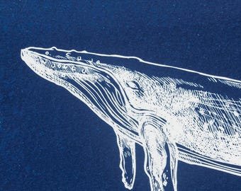 Handmade cyanotype | Indigo print | Art | Sun print | Wall decor | Unique wall art | Whale