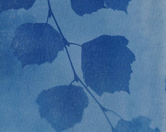 Handmade cyanotype | Indigo print | Art | Sun print | Wall decor | Unique wall art | Leaves
