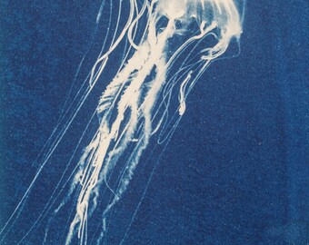 Handmade cyanotype | Indigo print | Art | Sun print | Wall decor | Unique wall art | Jellyfish