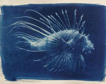 Handmade cyanotype | Indigo print | Art | Sun print | Wall decor | Unique wall art | Lionfish