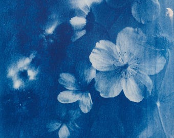 Handmade cyanotype | Indigo print | Art | Sun print | Wall decor | Unique wall art | Flowers