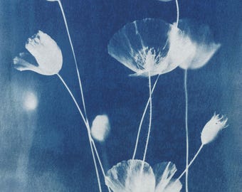 Handmade cyanotype | Indigo print | Art | Sun print | Wall decor | Unique wall art | Flowers