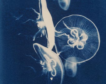 Handmade cyanotype | Indigo print | Art | Sun print | Wall decor | Unique wall art | Jellyfish