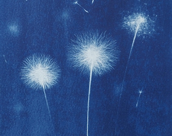 Handmade cyanotype | Indigo print | Art | Sun print | Wall decor | Unique wall art | Flowers