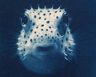 Handmade cyanotype | Indigo print | Art | Sun print | Wall decor | Unique wall art | Boxfish