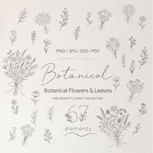 Botanical Flowers & Leaves Clipart Set | SVG PNG Icons for Canva, Instagram, Shop, Cafe, Small Business
