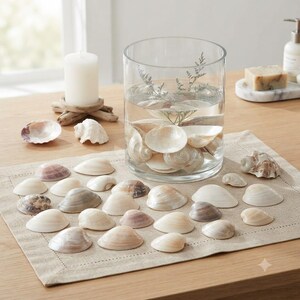 32pcs Large Sea Spread Shells, Mixed Ocean Seashells for Beach Party Decor, Vase Fillers, DIY Crafts, Bathroom & Tabletop Display