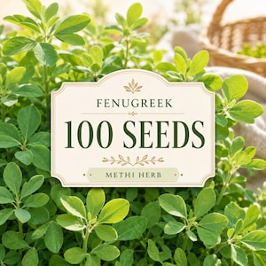 Pode incluir: Uma etiqueta retangular de cor creme com texto em verde escuro lendo FENUGREEK 100 SEEDS e METHI HERB, com arte botânica decorativa, posicionada sobre um campo de folhas verdes trifoliadas com uma cesta ao fundo.