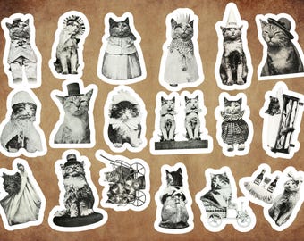 Vintage Cat Sticker Sheets (Matt) | 18 Genuine Antique Cat Photography Book Illustration Stickers