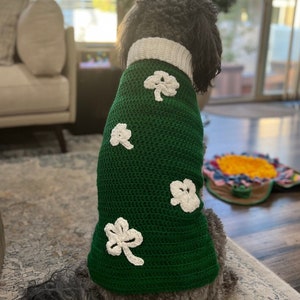 Könnte beinhalten: Ein grauer Hund trägt einen grünen, gehäkelten Pullover mit weißen Kleeblatt-Verzierungen. Der Pullover hat einen weißen, gehäkelten Kragen.