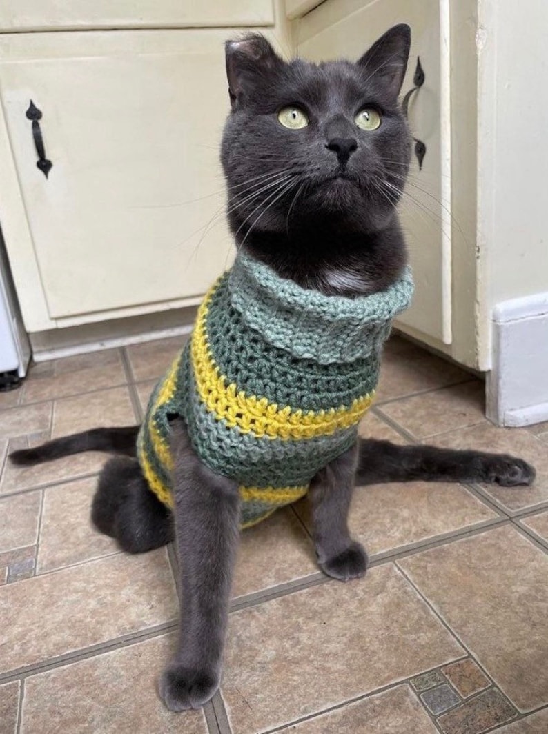 K&ouml;nnte beinhalten: Eine graue Katze tr&auml;gt einen gr&uuml;n-gelb gestreiften geh&auml;kelten Pullover. Die Katze sitzt auf einem gefliesten Boden.