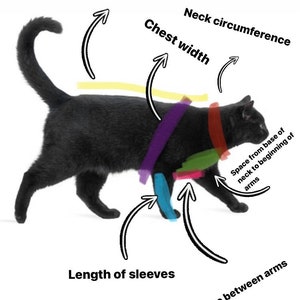 K&ouml;nnte beinhalten: Diagramm, das zeigt, wie man eine Katze f&uuml;r einen ma&szlig;geschneiderten Pullover misst. Das Diagramm zeigt die Ma&szlig;e f&uuml;r die Basis des Halses bis zum Schwanz, den Halsumfang, die Brustbreite, die &Auml;rmell&auml;nge, den Abstand zwischen den Armen und den Abstand von der Basis des Halses bis zum Beginn der Arme.