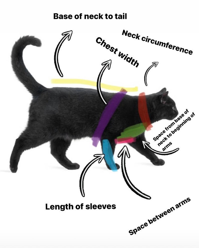 K&ouml;nnte beinhalten: Diagramm, das zeigt, wie man eine Katze f&uuml;r einen ma&szlig;geschneiderten Pullover misst. Das Diagramm zeigt die Ma&szlig;e f&uuml;r die Basis des Halses bis zum Schwanz, den Halsumfang, die Brustbreite, die &Auml;rmell&auml;nge, den Abstand zwischen den Armen und den Abstand von der Basis des Halses bis zum Beginn der Arme.