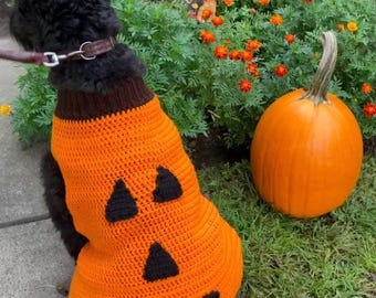 Handmade Pumpkin Dog Sweater: Custom Halloween Costume